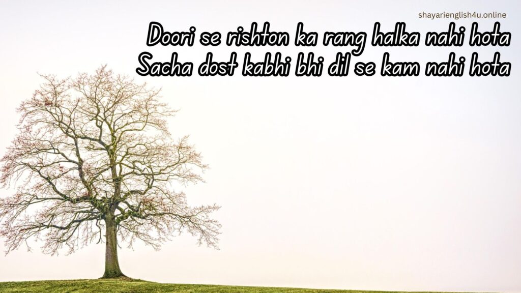 long distance friendship shayari