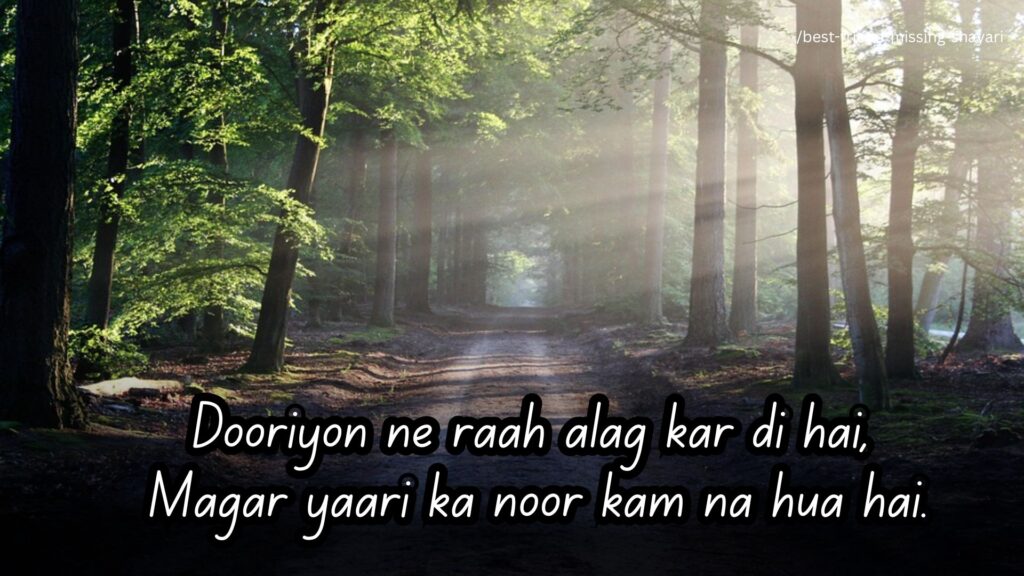 long distance friendship shayari 2 line